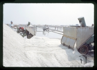 臺灣鹽業的發展與變遷＞鹽味人生—那些曬鹽與鹽工的故事＞鹽業轉型—從傳統到現代化機械鹽灘